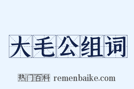 大毛公组词是什么意思的图片